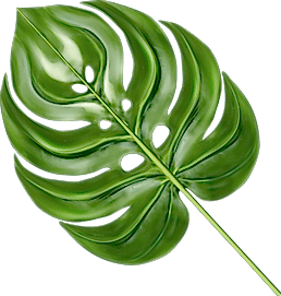 leaf 1 8